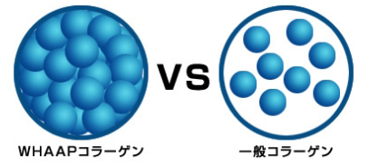 ワップトリートメントのピュアオーガニックコラーゲンの濃度の比較